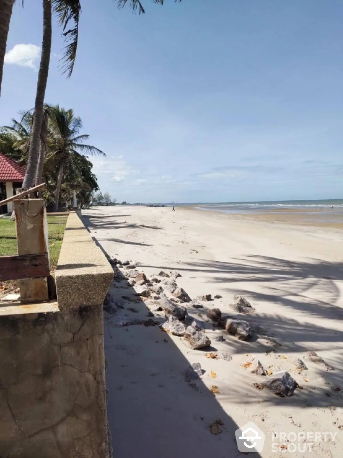 Stunning beachfront property with expansive sandy shores and palm trees, perfect for serene coastal living.