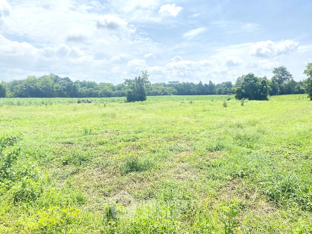 Expansive green field under a bright blue sky, perfect for development or agriculture.