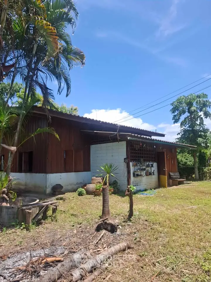 Charming rustic house with lush garden and tropical trees under a clear blue sky.