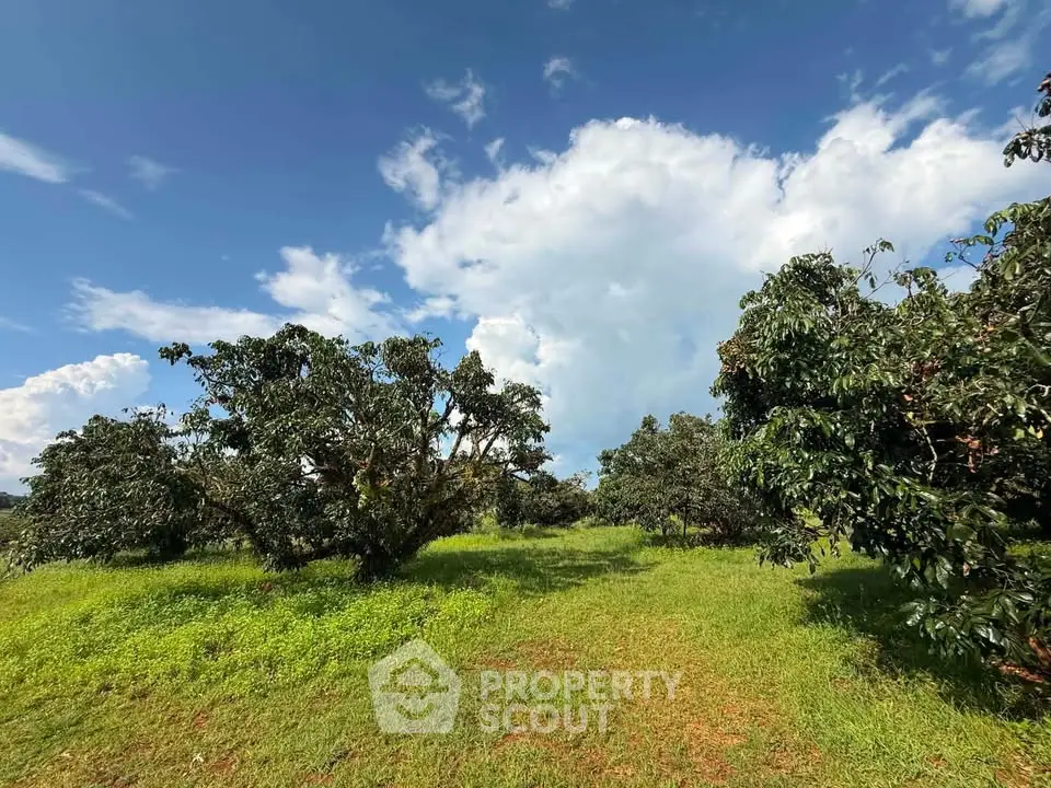 Expansive green landscape with lush trees under a vibrant blue sky, perfect for real estate development.