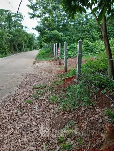 Scenic land plot with lush greenery and paved road access