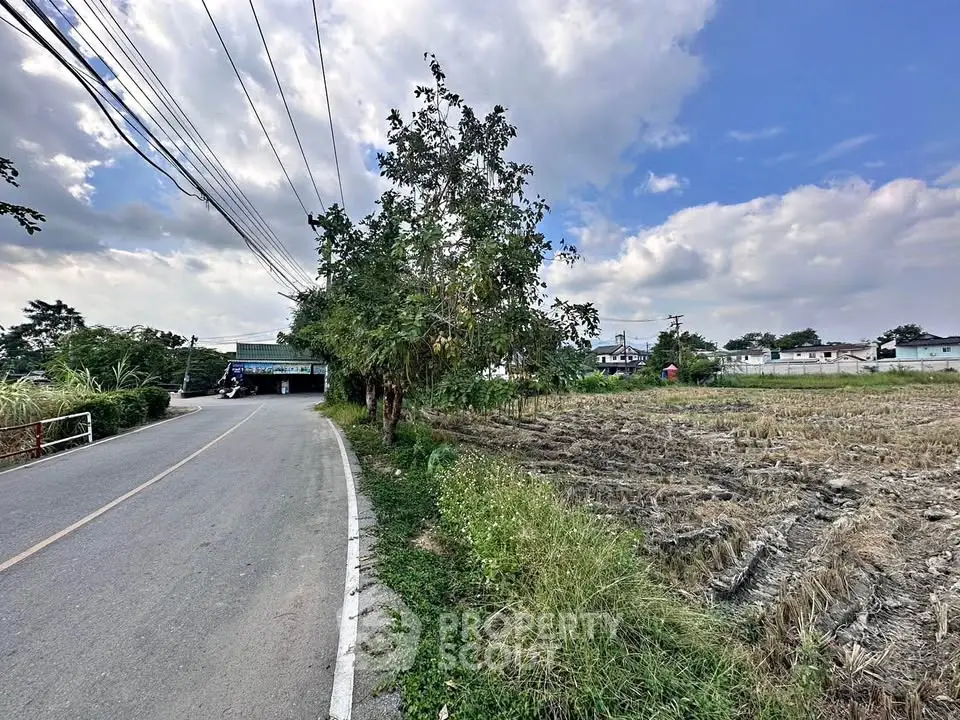 Scenic rural road with adjacent farmland and clear blue sky, ideal for countryside living.