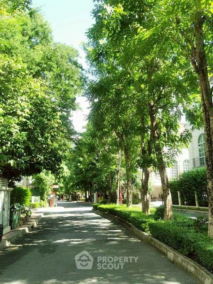 Charming tree-lined street in a serene residential neighborhood, perfect for peaceful living.