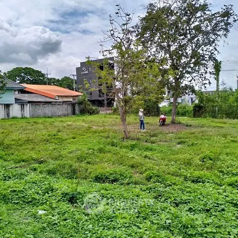Spacious green land plot with trees, ideal for development in a serene neighborhood.