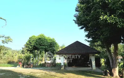 Charming rural property with lush greenery and traditional architecture