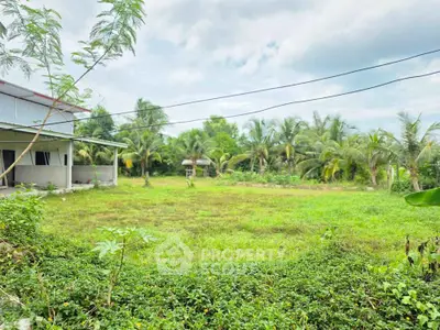 Spacious green land with tropical trees, ideal for development or agriculture, offering serene natural surroundings.