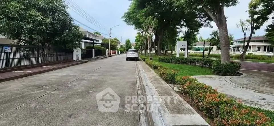 Charming suburban street view with lush greenery and modern homes, perfect for peaceful living.