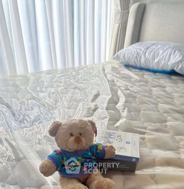 image_rental-29971520