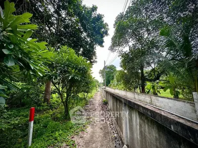 Scenic pathway beside a lush garden with tall trees and a concrete wall, perfect for nature lovers.