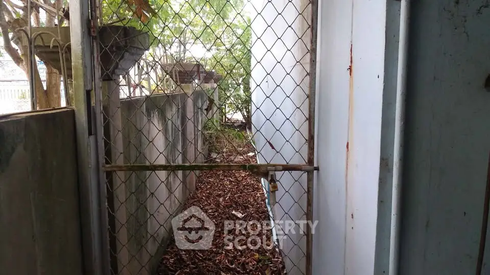 Narrow outdoor passage with chain-link fence and leafy ground cover