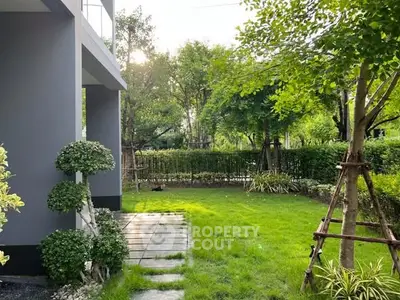 image_rental-30514882