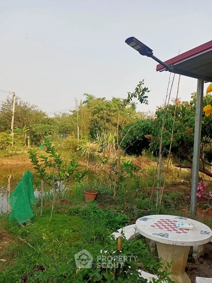 Charming garden view with rustic outdoor seating and lush greenery, perfect for relaxation and nature lovers.
