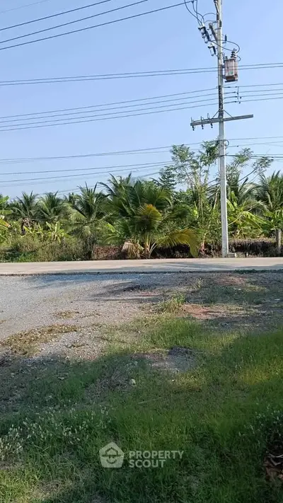 Scenic view of lush greenery and palm trees by a quiet roadside, ideal for serene living.