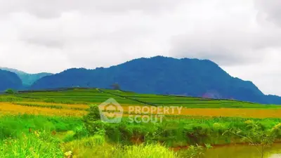 image_rental-28289122