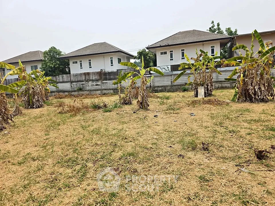 Spacious residential land with banana trees and modern houses in the background, ideal for development.