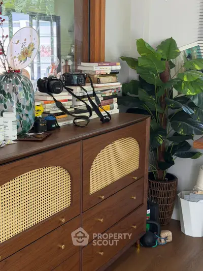 Stylish interior with wooden dresser, books, and decorative plants in a cozy living space.