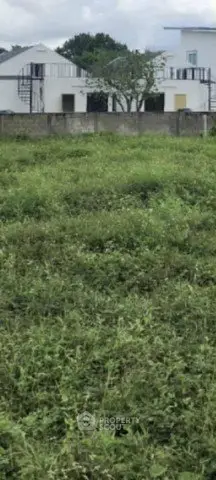 Spacious plot with lush greenery and modern building in the background, ideal for development.