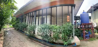 Modern exterior with lush greenery and unique architectural design