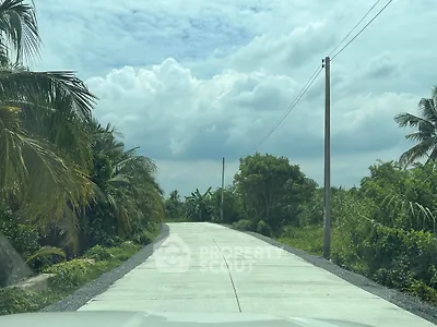 Scenic rural road with lush greenery and clear skies, ideal for countryside living.