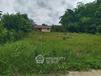 Spacious green plot with a small house, surrounded by lush trees, ideal for development.
