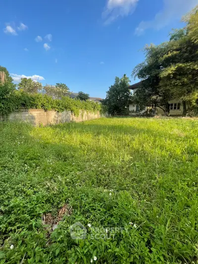 Spacious green plot of land with lush vegetation and clear blue sky, ideal for development.