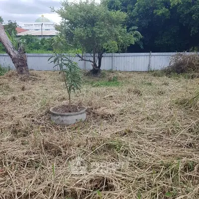 Spacious backyard with potential for landscaping, featuring young trees and a fenced perimeter.