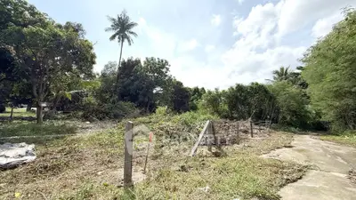 Expansive land plot with lush greenery and clear skies, ideal for development or investment.