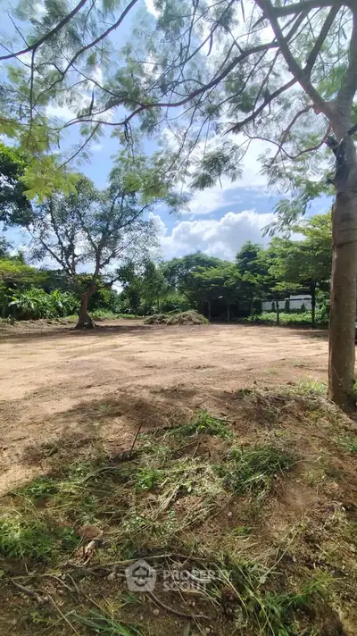 Spacious vacant land with lush greenery and clear blue sky, perfect for development opportunities.
