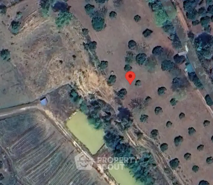 Screenshot 2026-03-20 025346-Photoroom.png