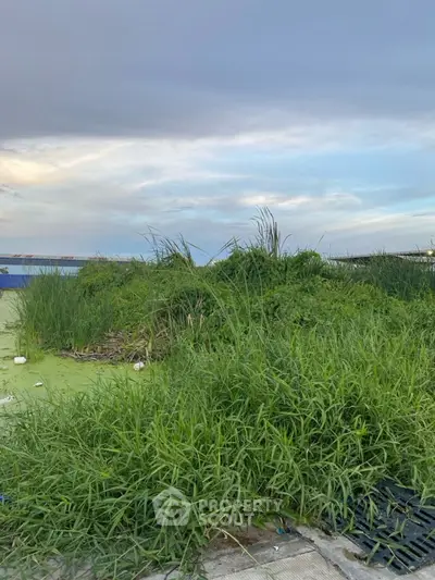 Vacant land with lush greenery and cloudy sky, ideal for development opportunities.