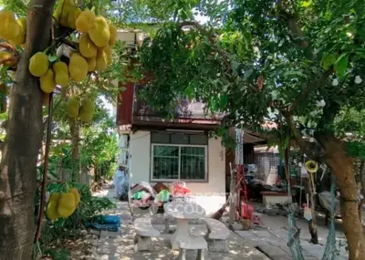 Screenshot 2569-04-20 at 14.34.27.jpg