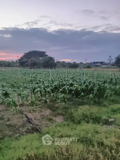 image_rental-29075934