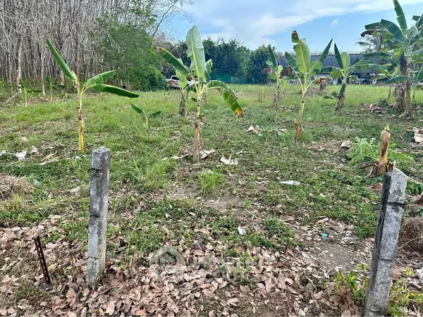 image_rental-30277760