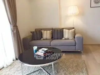 Cozy living room with stylish sofa and modern decor