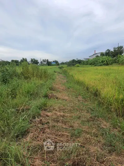 Expansive rural landscape with lush greenery and distant house, ideal for serene living.