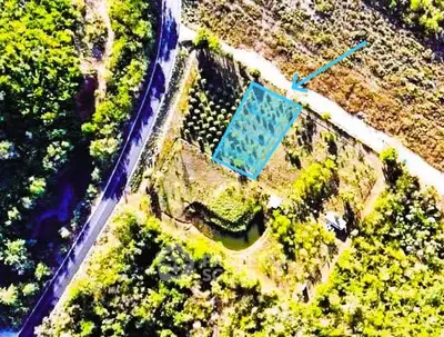 Aerial view of a lush green plot of land with surrounding vegetation and road access.