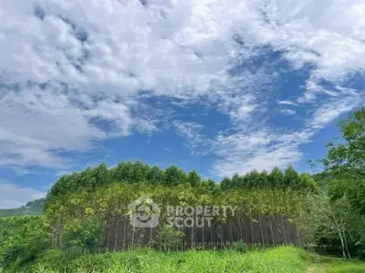 image_rental-27716290