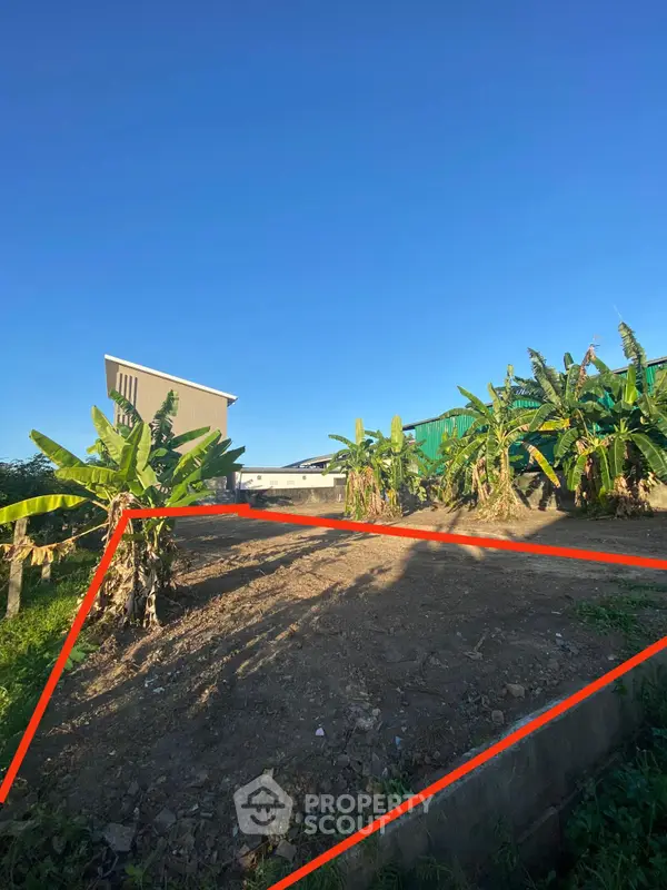 image_rental-20354792