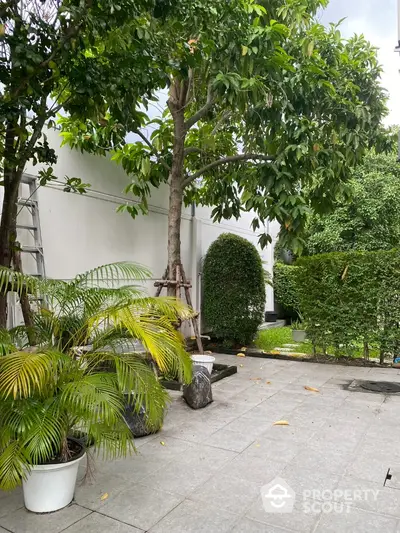 Lush garden with potted plants and manicured hedges in a serene outdoor setting.