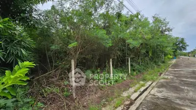 Vacant land with lush greenery and potential for development in a serene neighborhood.