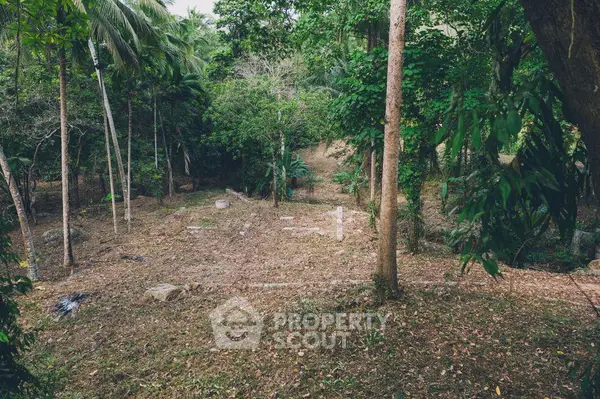 image_rental-8914063