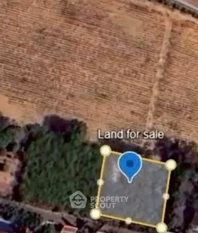 Screenshot 2569-01-21 at 20.24.34.jpg