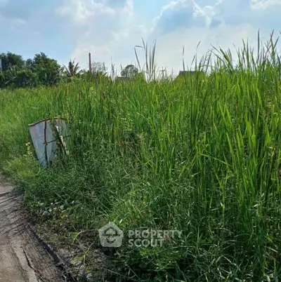 Screenshot 2569-04-15 at 14.51.25.jpg