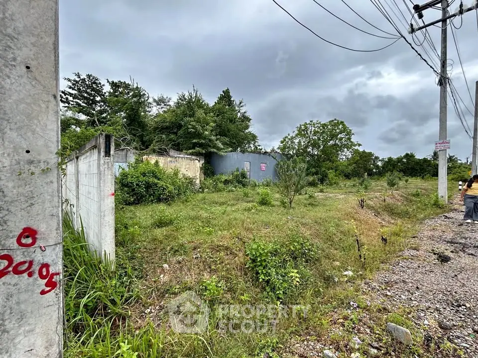 Spacious vacant land with lush greenery, ideal for development opportunities.