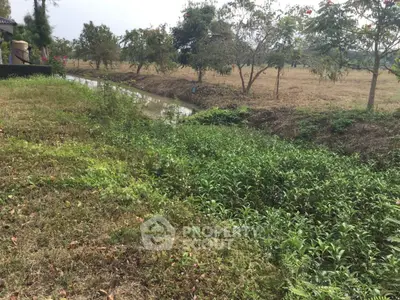 Expansive garden view with lush greenery and serene water feature, ideal for nature lovers.