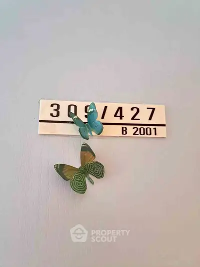 image_rental-31470272