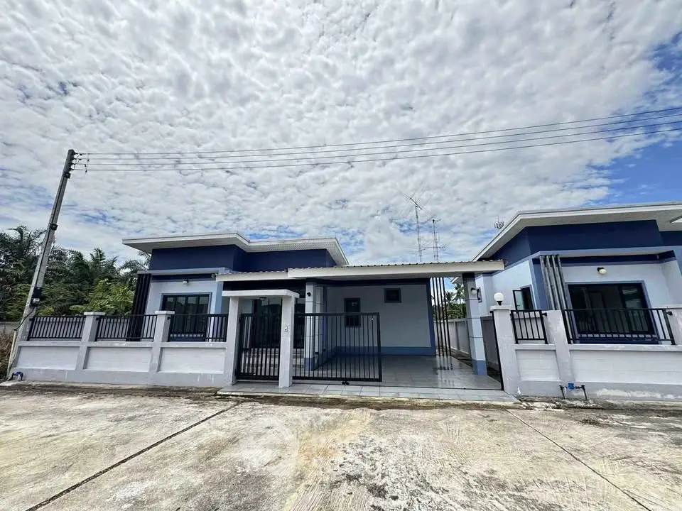 Modern blue and white single-story house with spacious driveway under a cloudy sky.
