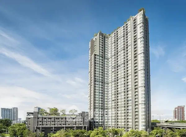 image_rental-30744472