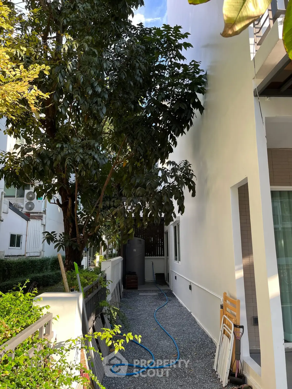 Charming side garden with lush greenery and modern exterior, perfect for relaxation and outdoor activities.