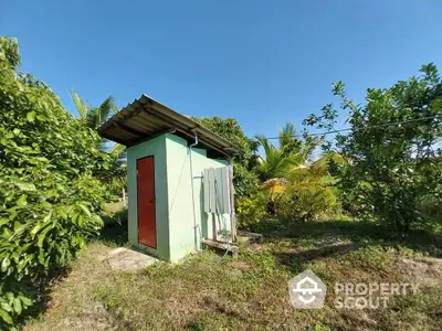 Charming small garden shed surrounded by lush greenery and tropical plants